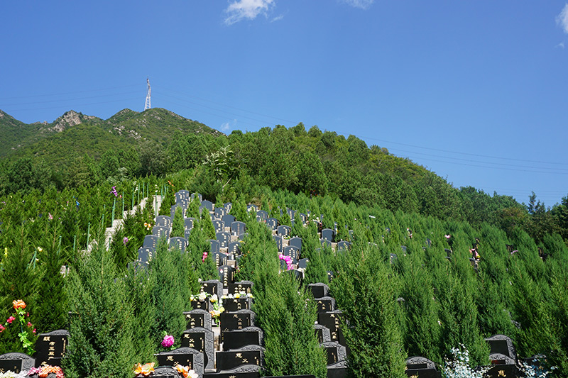 天津玉佛寺寝宫合法吗？值得我们选择吗？